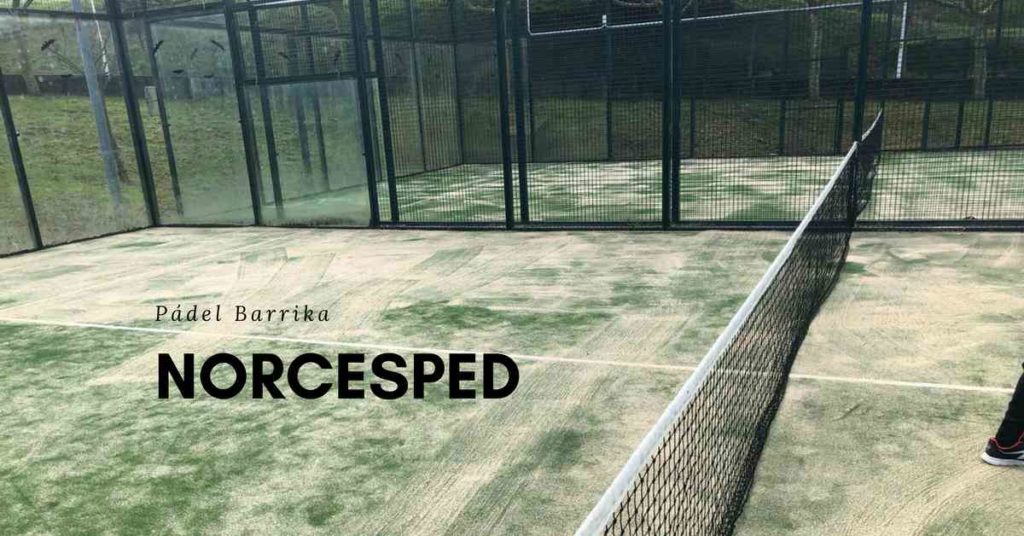 Mantenimiento Pádel Bizkaia. Césped artificial.